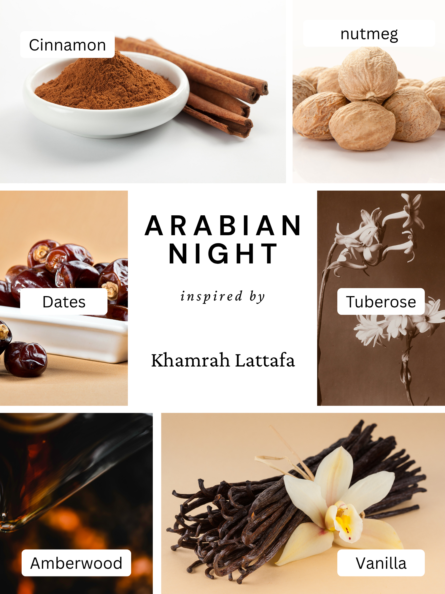 Arabian Night