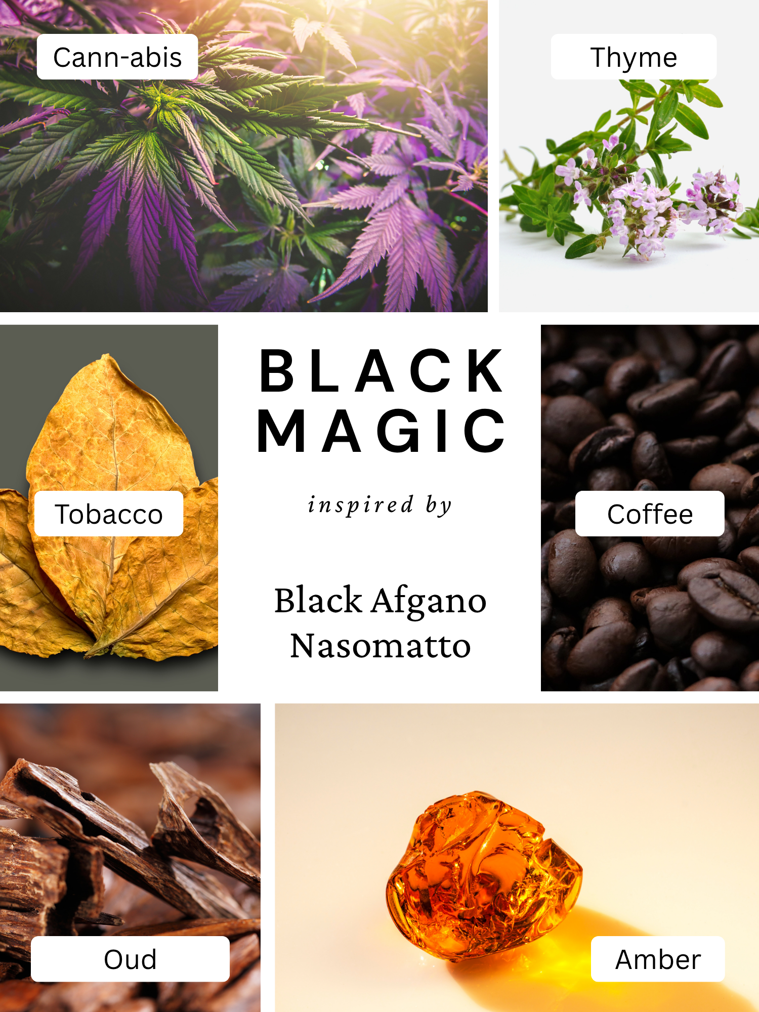 Black Magic