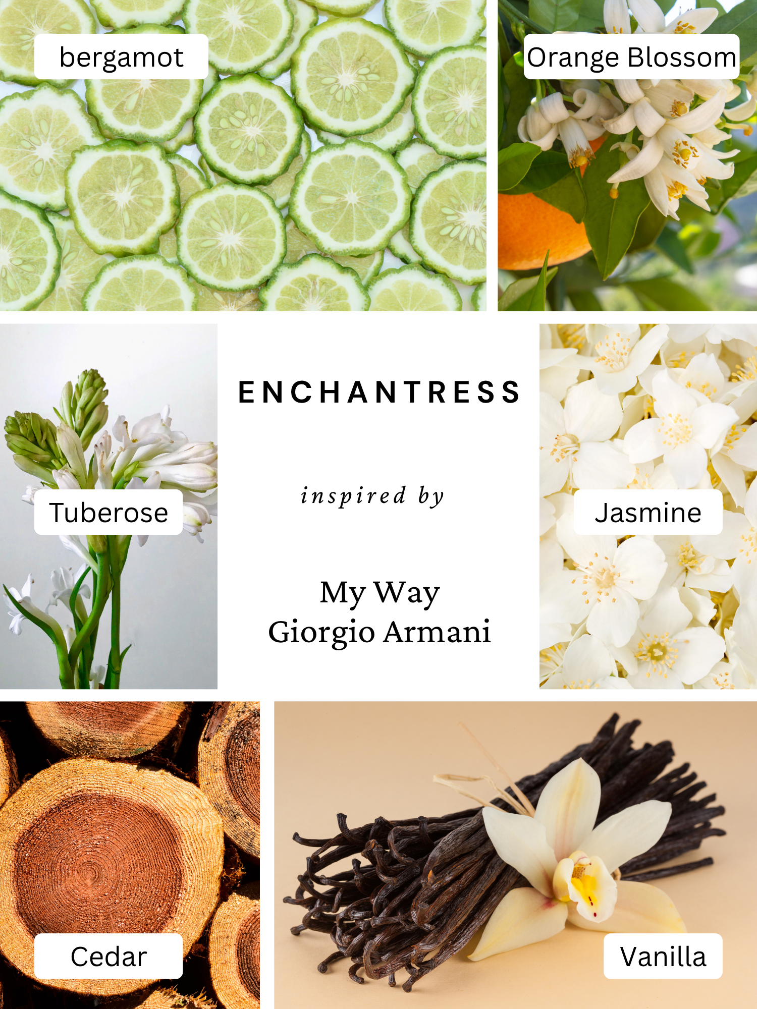Enchantress