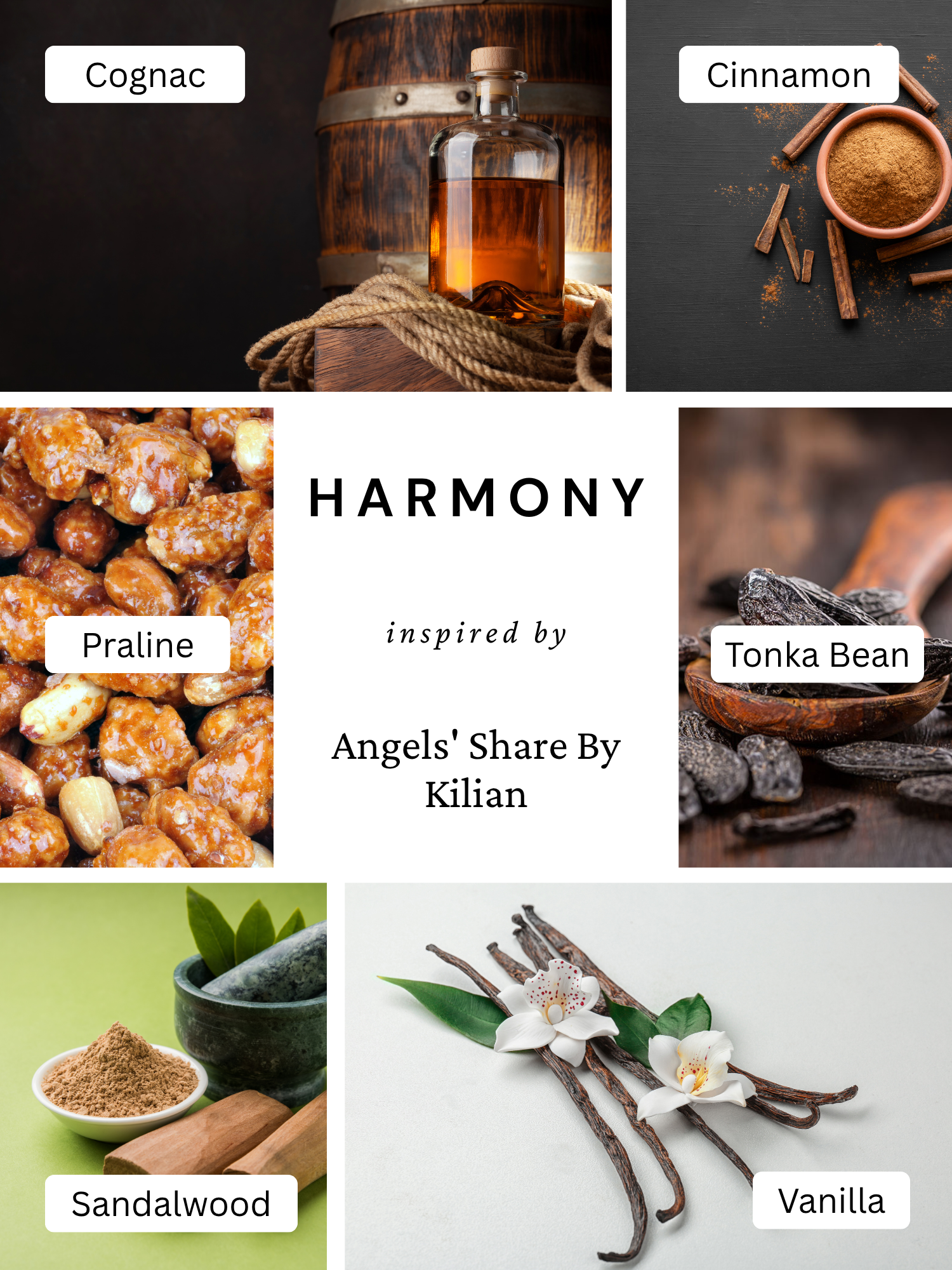 Harmony