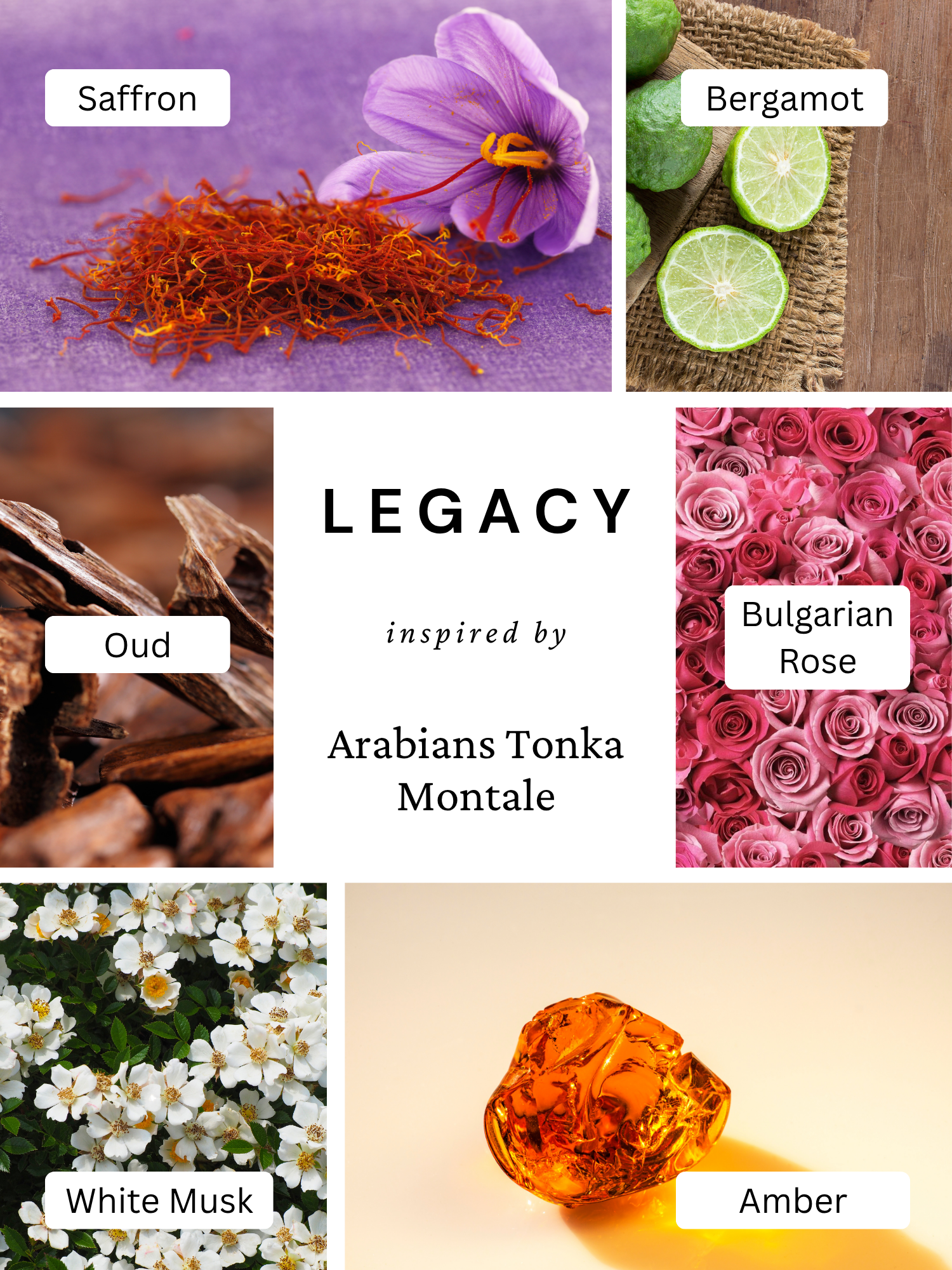 Legacy