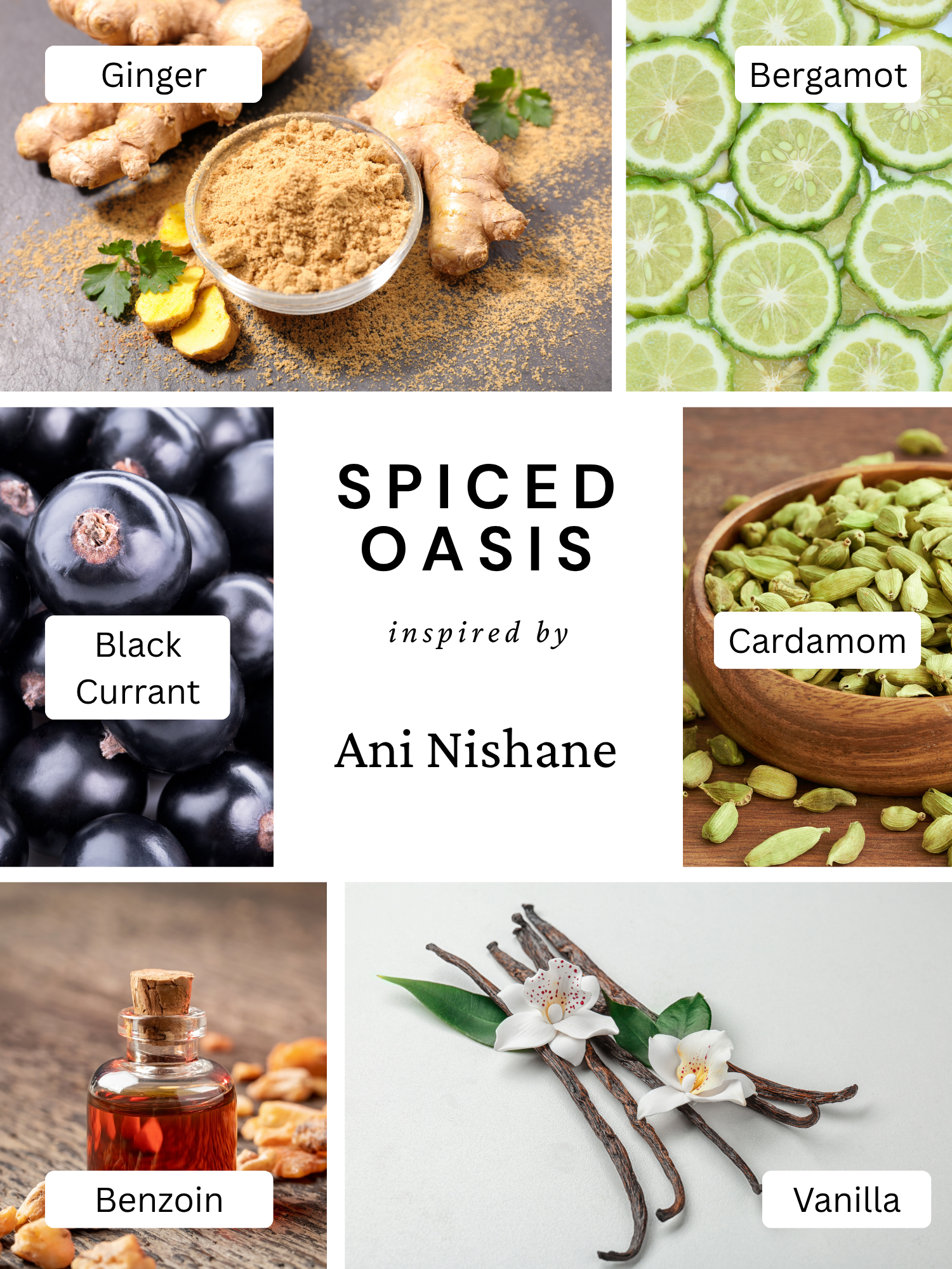 Spiced Oasis