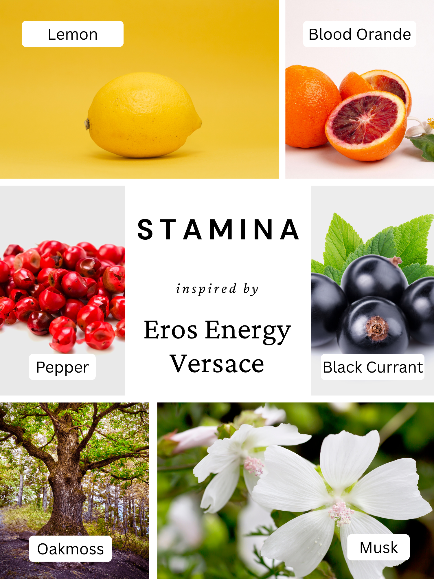 Stamina
