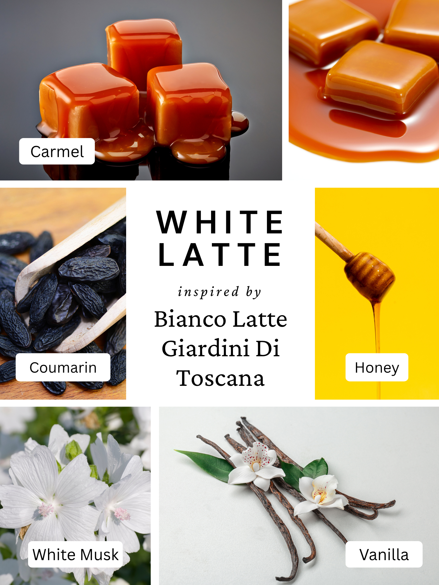 White Latte